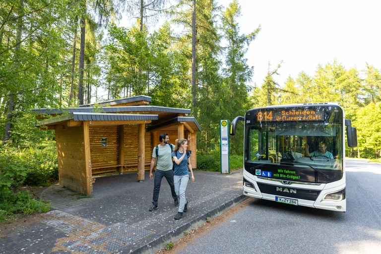 Bus an einer Haltestelle, aus welchem ein Pärchen ausgestiegen ist und zum Abschied winkt. Drumherum Wald.