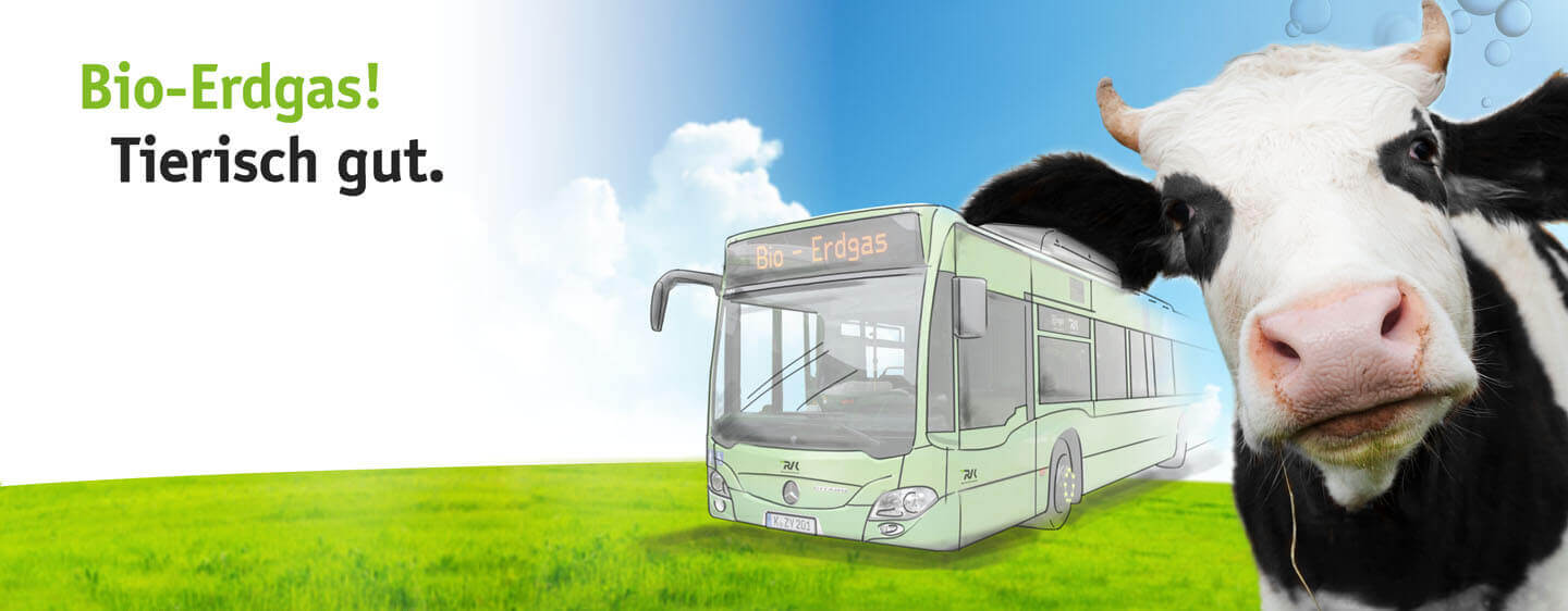 Kuh mit Bus. Headline "Bio-Erdgas. Tierisch gut"